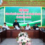 Cao su Chư Sê – Kampong Thom tinh gọn bộ máy, nâng cao hiệu quả