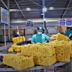 Giá cao su tăng mạnh – Kỳ vọng mở rộng thị phần và gia tăng giá trị