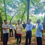 Cao su Lộc Ninh tăng trưởng xanh gắn với phát triển bền vững và trách nhiệm xã hội