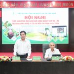 VRG triển khai nông nghiệp quy mô lớn, ứng dụng công nghệ và cơ giới hóa giai đoạn 2025 – 2030