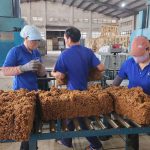 Thi đua - Nguồn lực nội sinh của ngành cao su Việt Nam