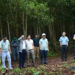 Lãnh đạo VRG và Công ty Pardes Farms lnc (Hoa Kỳ) làm việc tại Cao su Chư Sê