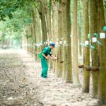 Thợ giỏi được thưởng lớn nếu đạt giải cao Hội thi cấp ngành