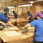 Ngành gỗ Việt Nam 2025: Giữa rừng cơ hội và bão thách thức