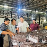 Công ty CP Quasa - Geruco hướng đến tăng trưởng bền vững
