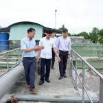 Cao su Tây Ninh tăng trưởng xanh gắn liền với phát triển bền vững và trách nhiệm xã hội