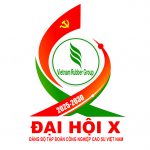 Công bố Biểu trưng chính thức Đại hội Đảng bộ VRG lần thứ X, nhiệm kỳ 2025 – 2030