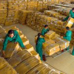 Cao su Việt Nam chủ động thích ứng, tận dụng thời cơ trong bối cảnh “khát hàng” toàn cầu